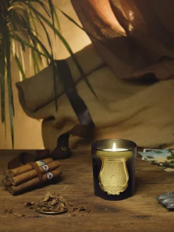 Candela profumata fatta a mano Gabriel (legno di cashmere, muschio)