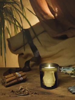 Candela profumata fatta a mano Ernesto (chiodi di garofano, labdano, legno di quercia e patchouli)