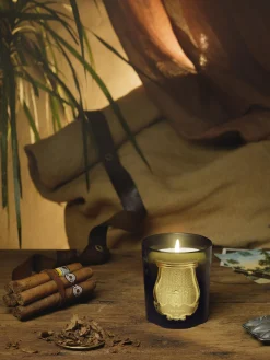 Candela profumata fatta a mano Solis Rex (corteccia di abete rosso)