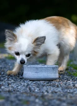 Ciotola per animali fatta a mano Rocky, varie misure