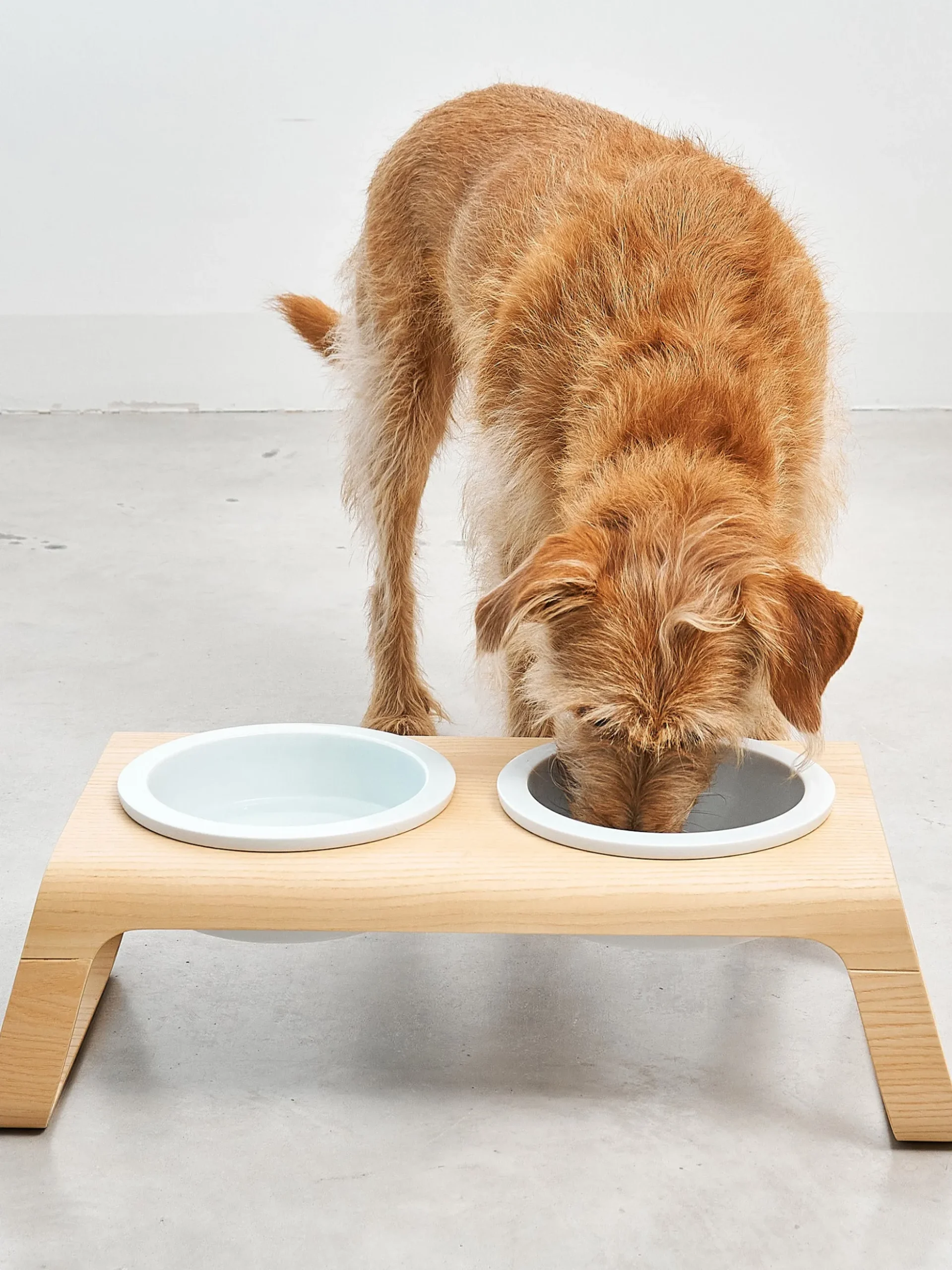 Ciotola per cani con supporto Desco, alt. 17 cm
