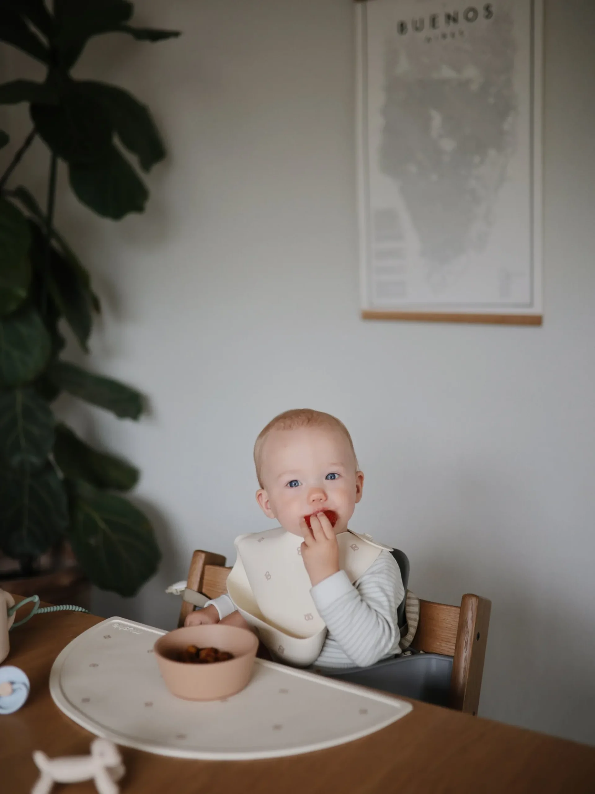 Ciotola per bambini Suction