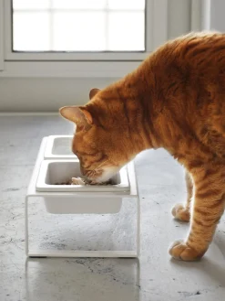 Ciotole per animali con supporto Tower