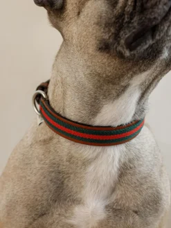 Collare per animali fatto a mano Baseball, varie misure