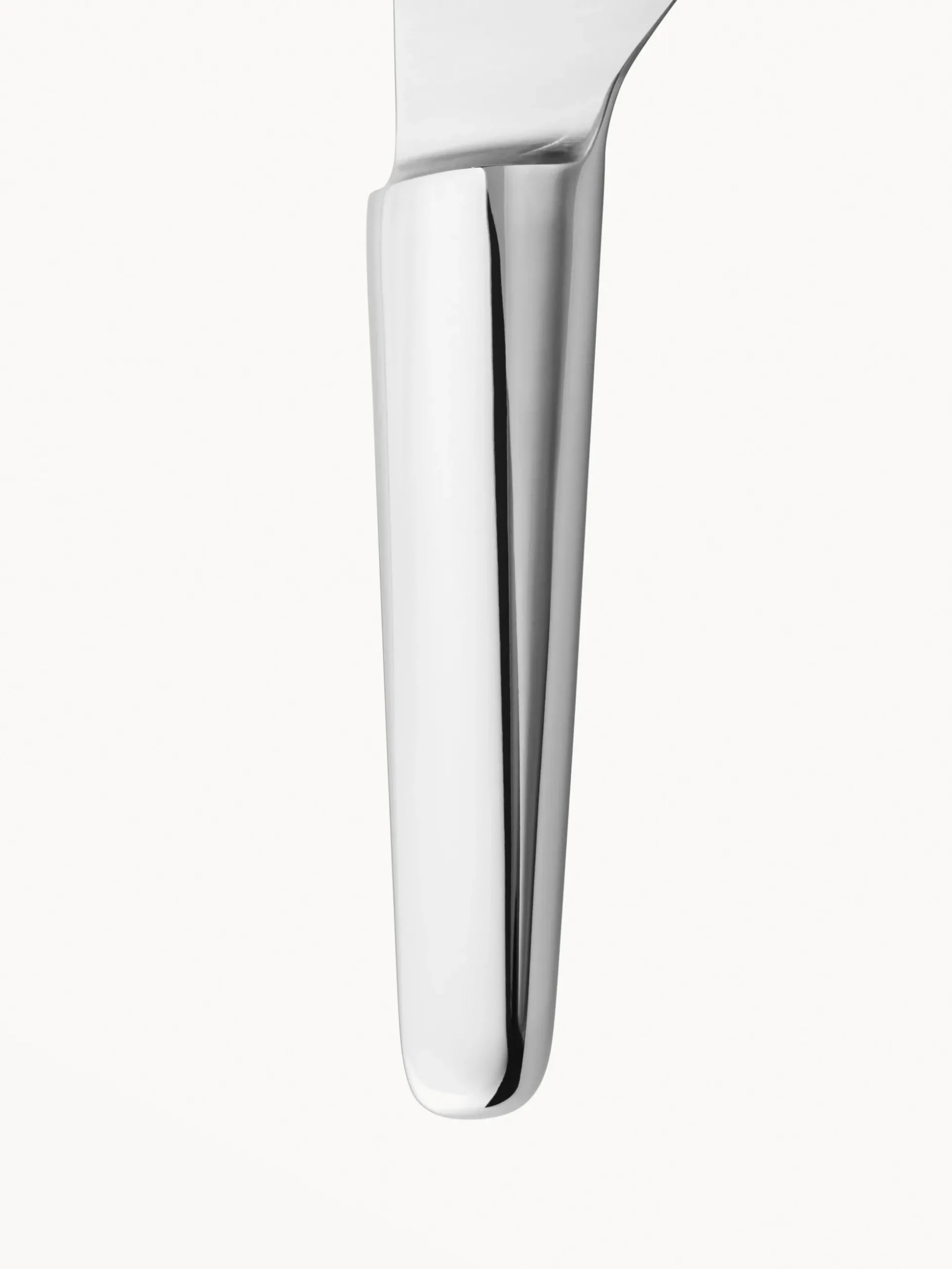 Coltello da chef in acciaio inossidabile Sky