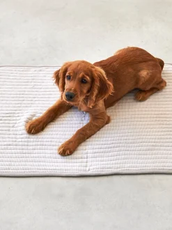 Coperta per cani in cotone Onda, varie misure