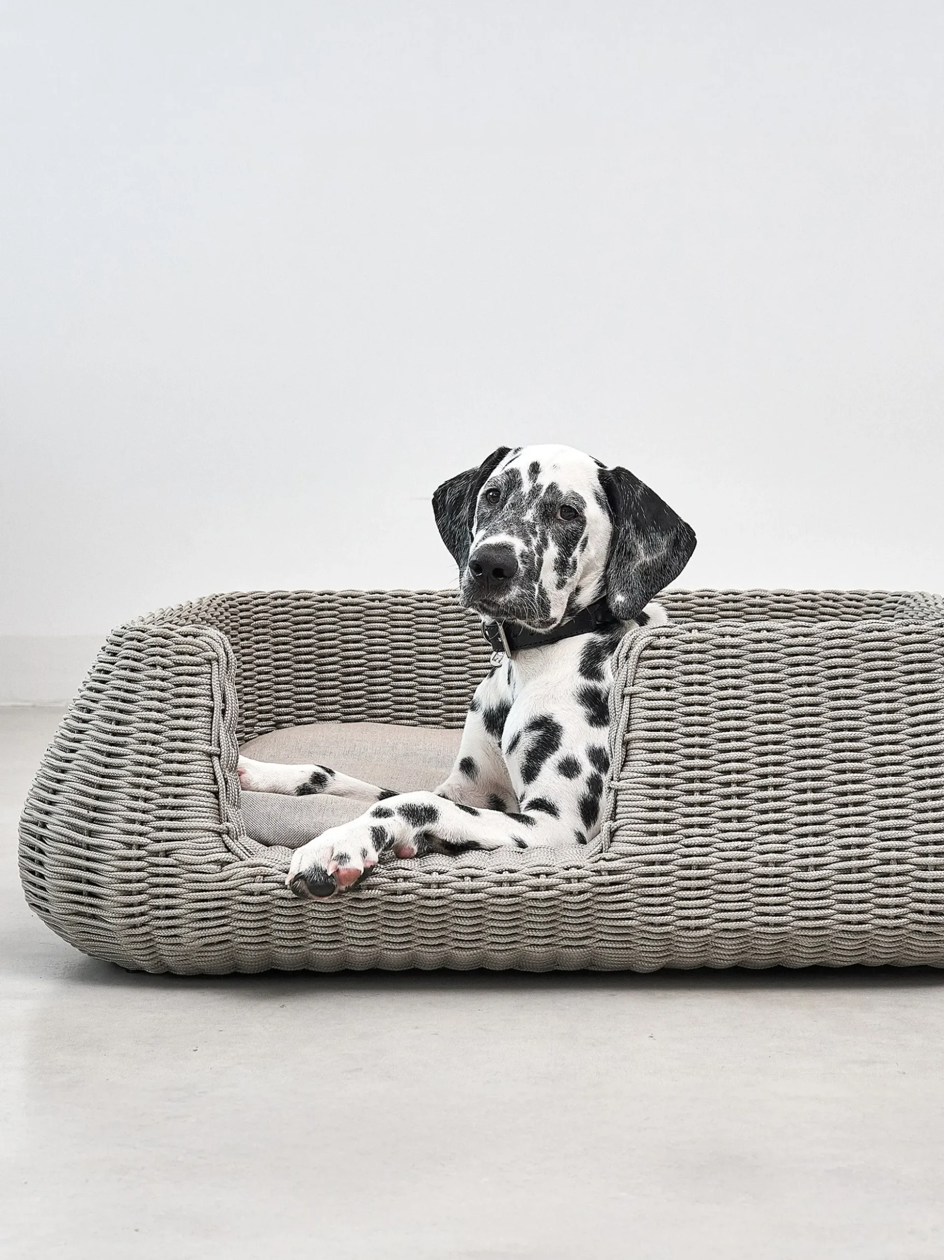 Cuccia per cani da interno-esterno Mio, in diverse misure