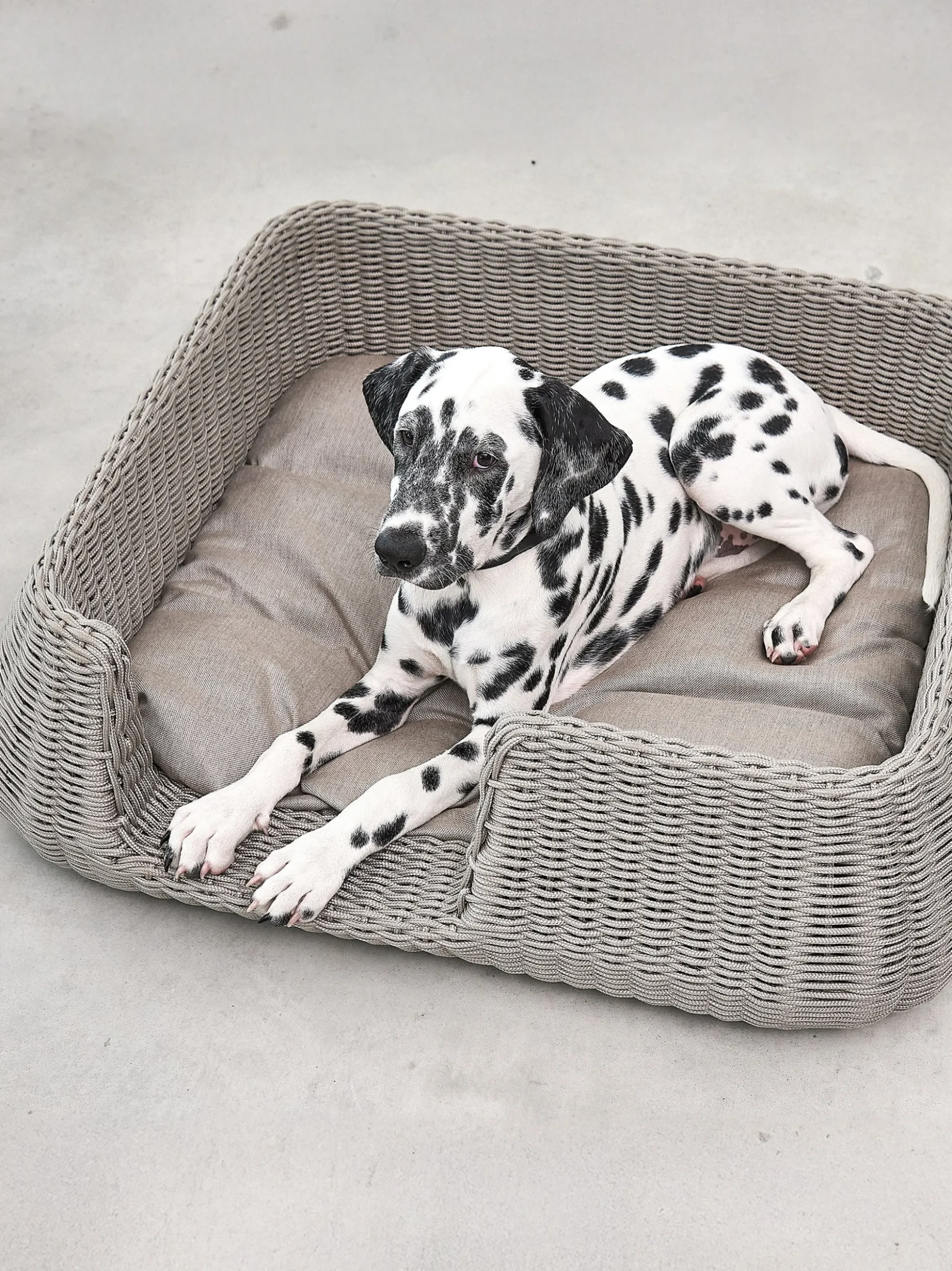Cuccia per cani da interno-esterno Mio, in diverse misure