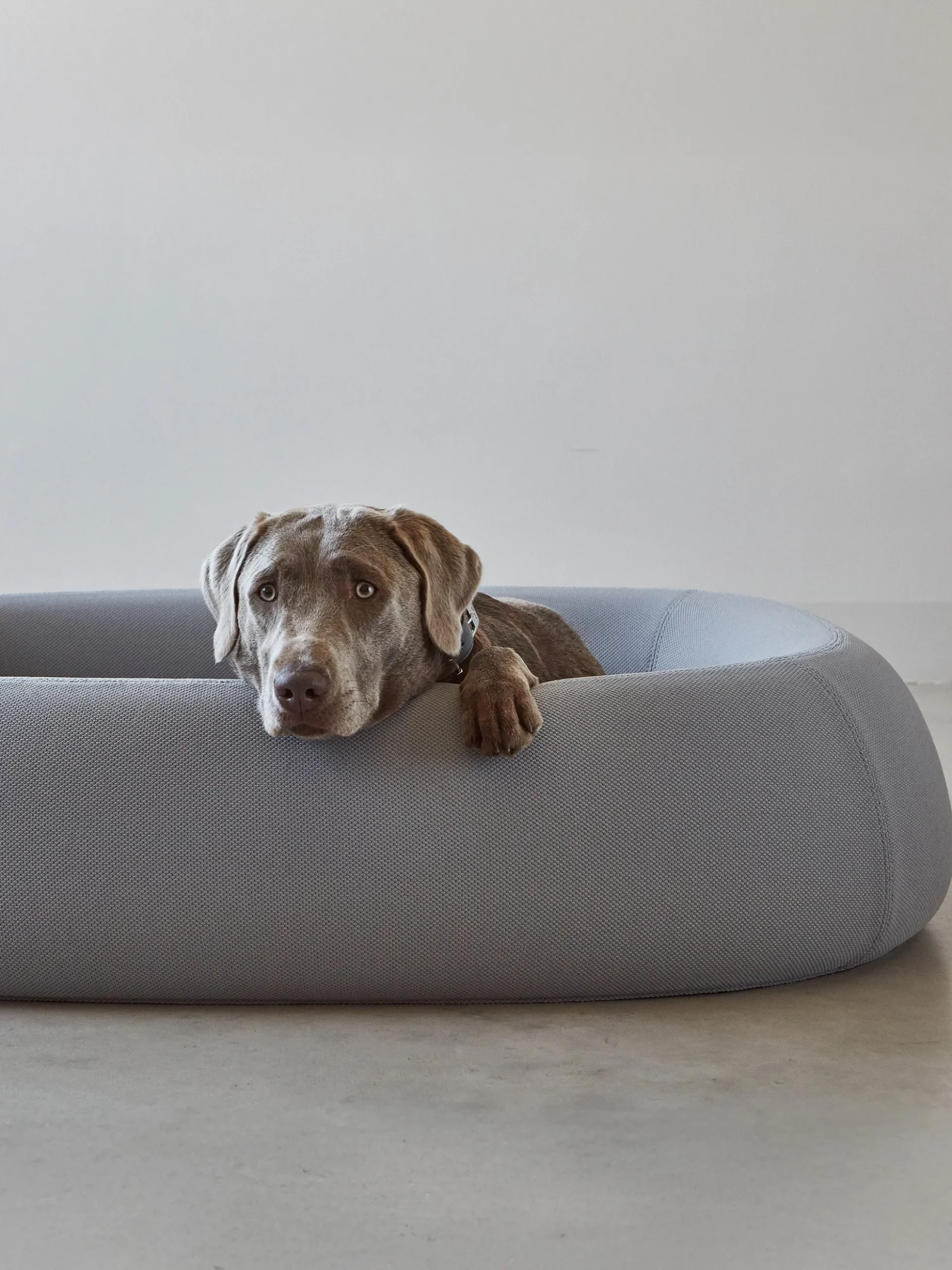 Cuccia per cani Barca, varie misure