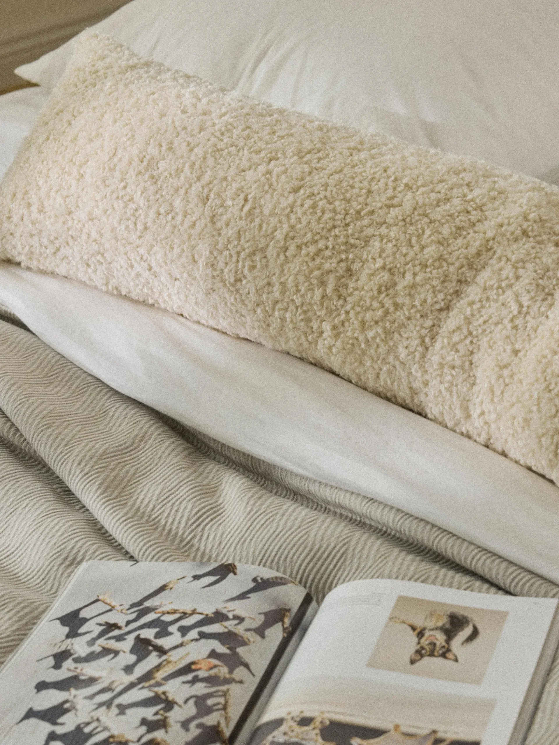 Cuscino decorativo XL in teddy Dotty