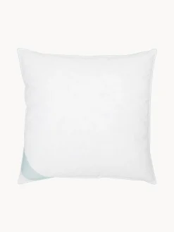 Cuscino in piuma Comfort, rigido