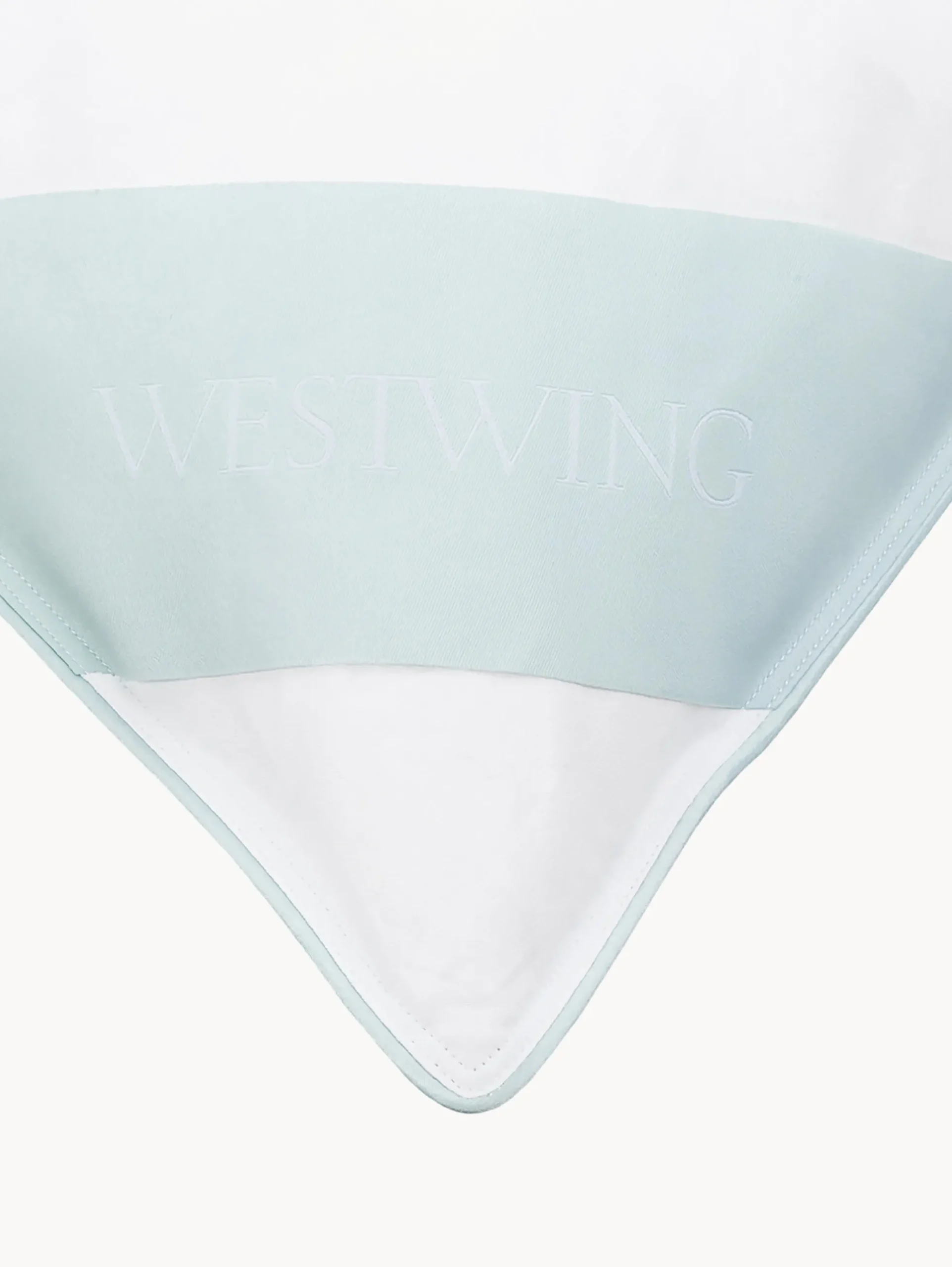 Cuscino medio con piume Standard