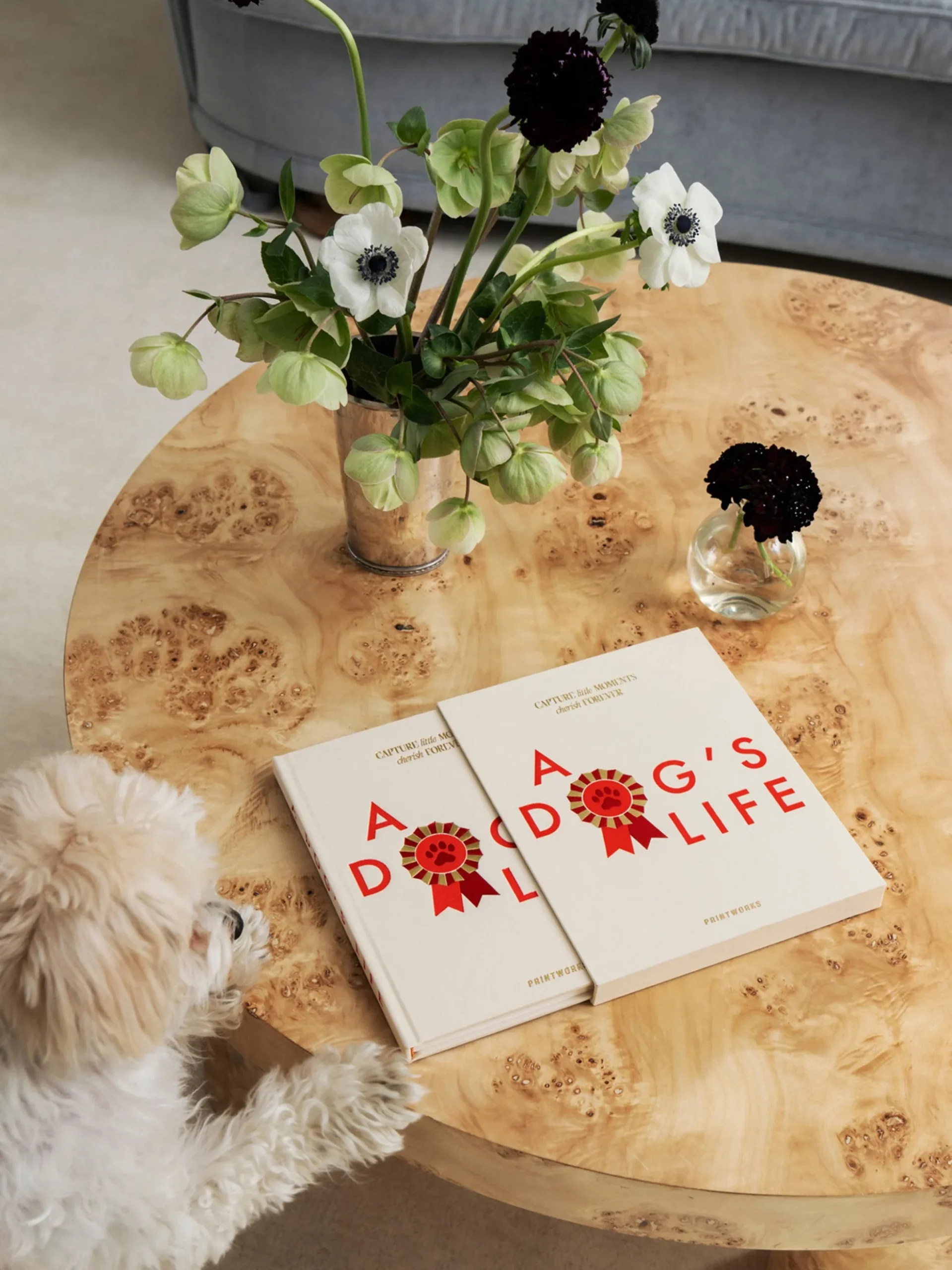 Diario per cani A Dog's Life