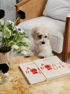 Diario per cani A Dog's Life
