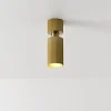 Faretti da soffitto Chester