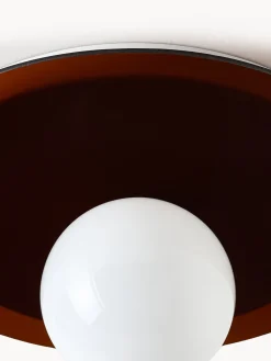Faretto da parete e soffitto Starling