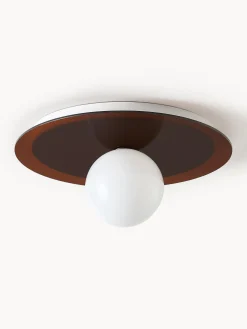 Faretto da parete e soffitto Starling