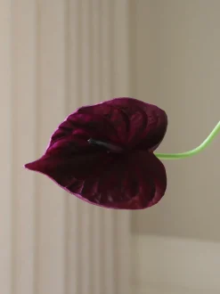 Fiore artificiale Anthurium