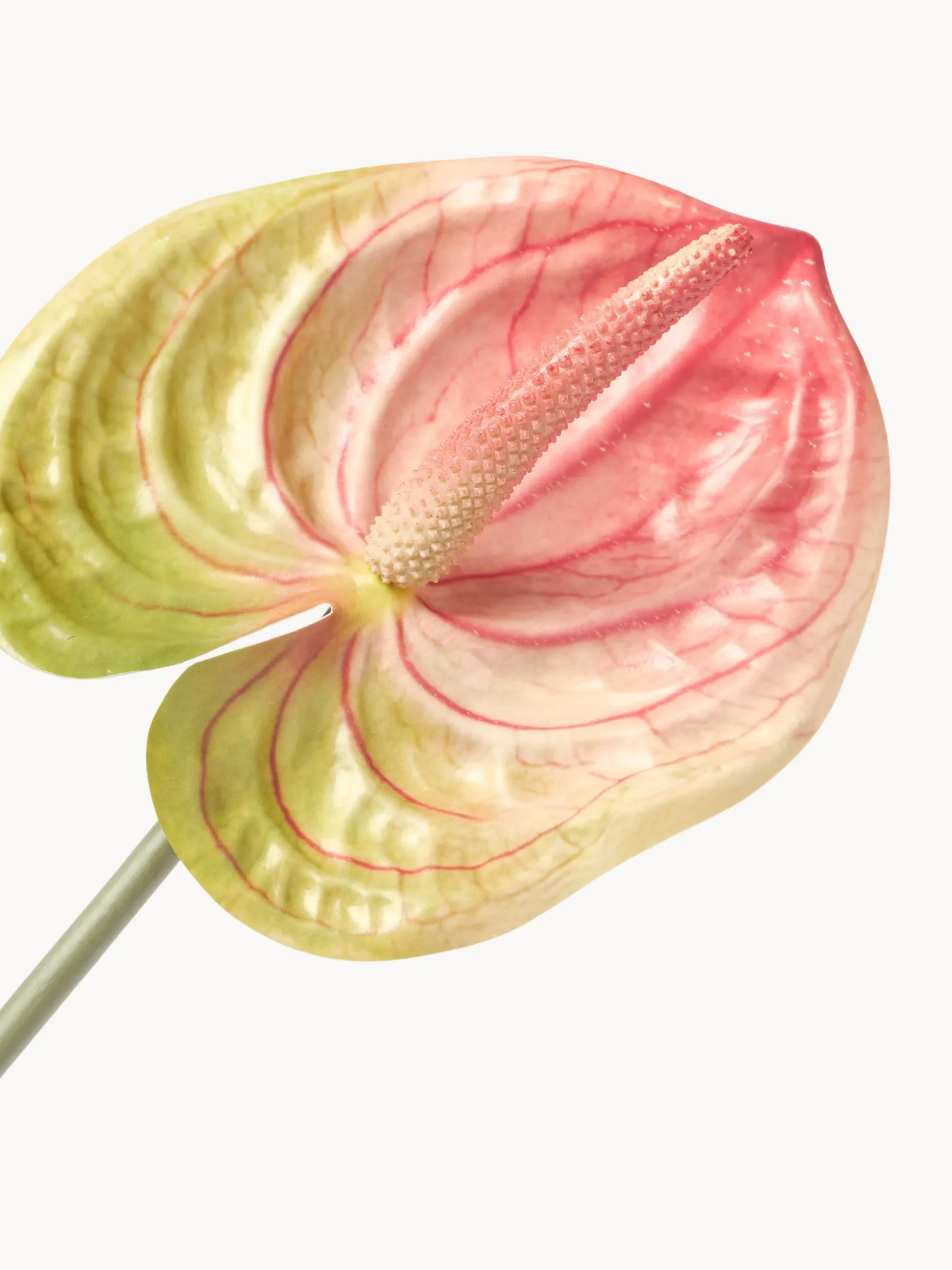 Fiore artificiale Anthurium
