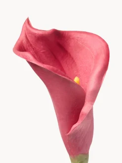 Fiore artificiale Calla Lily