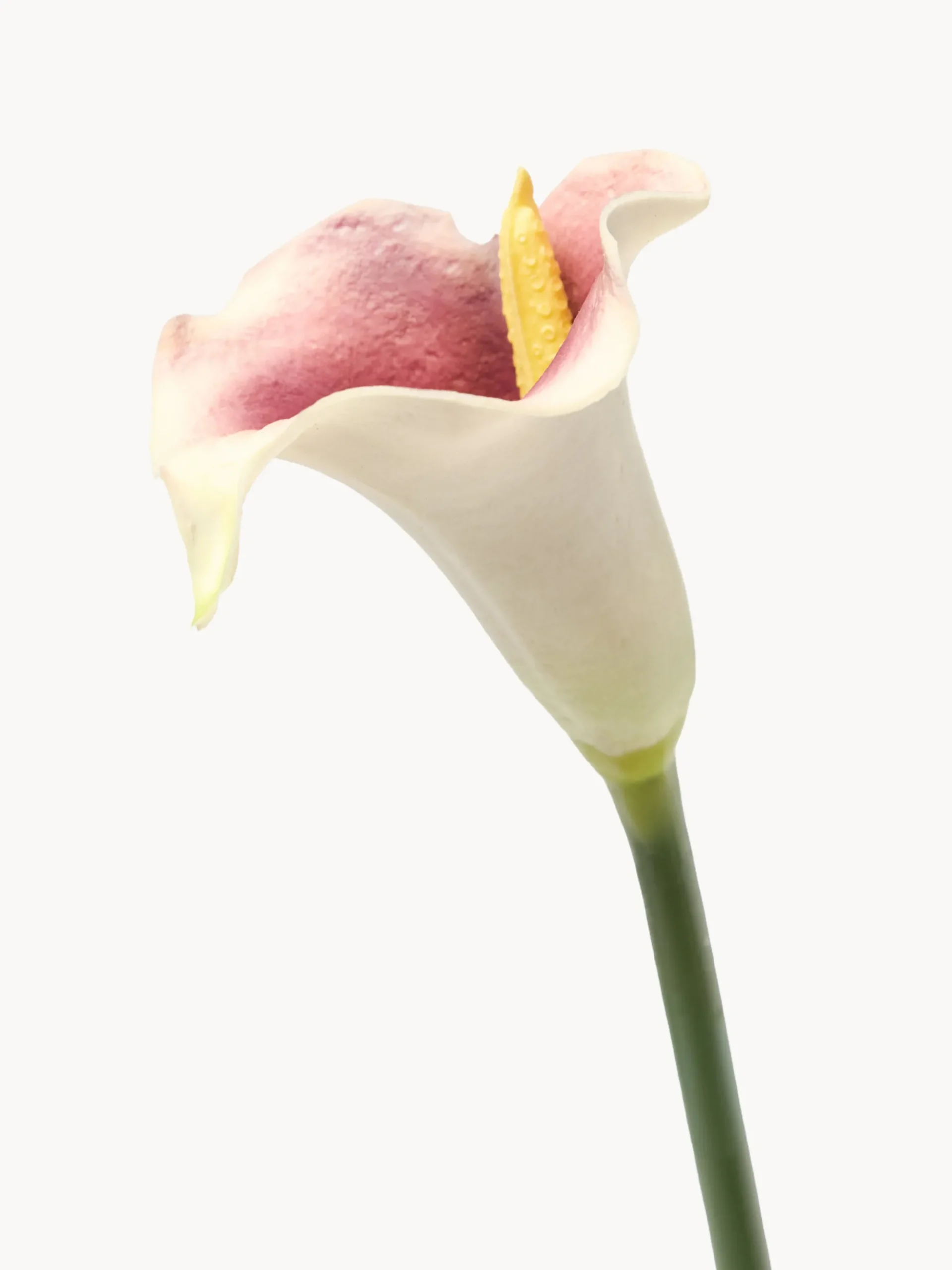 Fiore artificiale Calla Lily