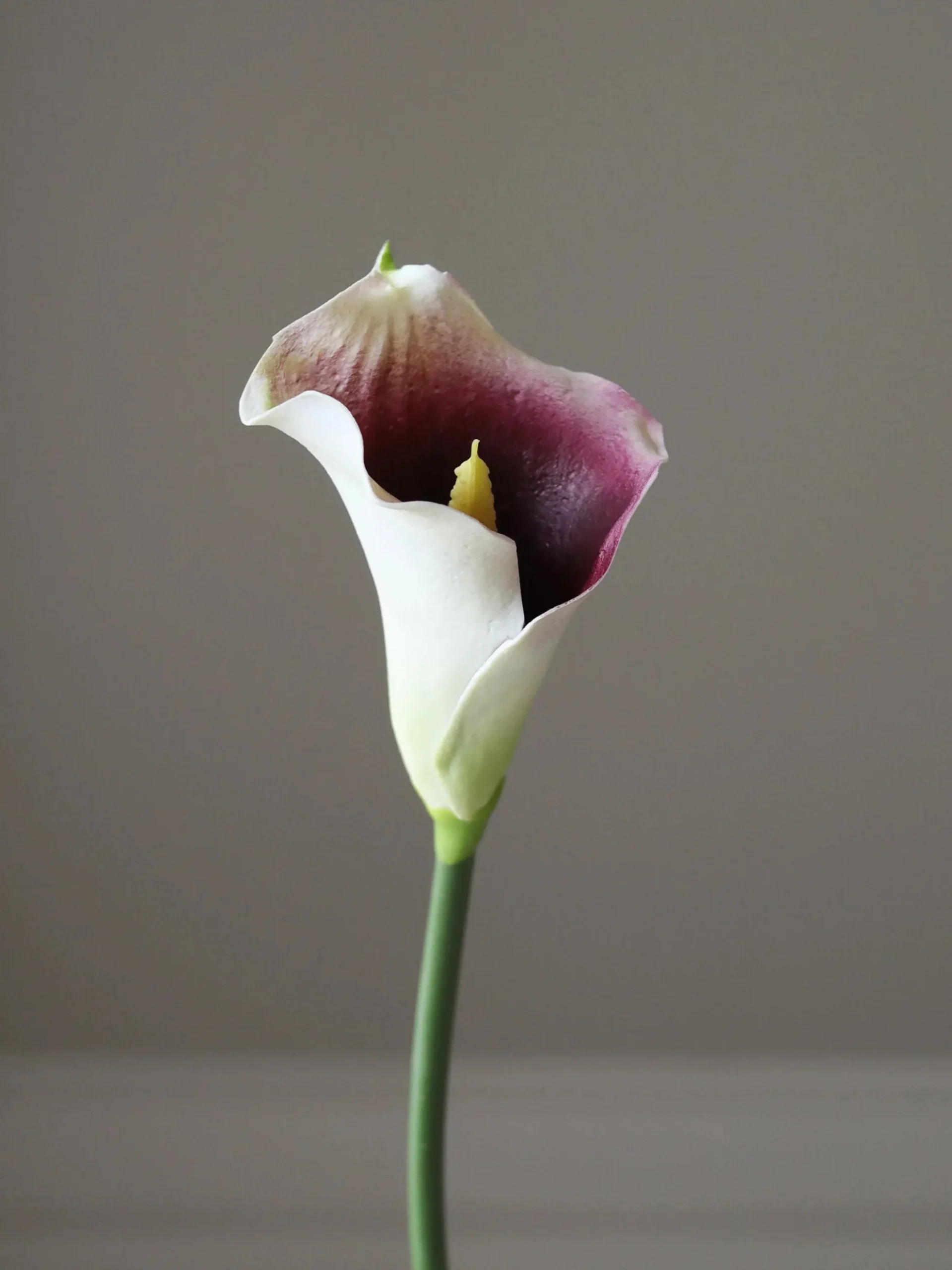 Fiore artificiale Calla Lily