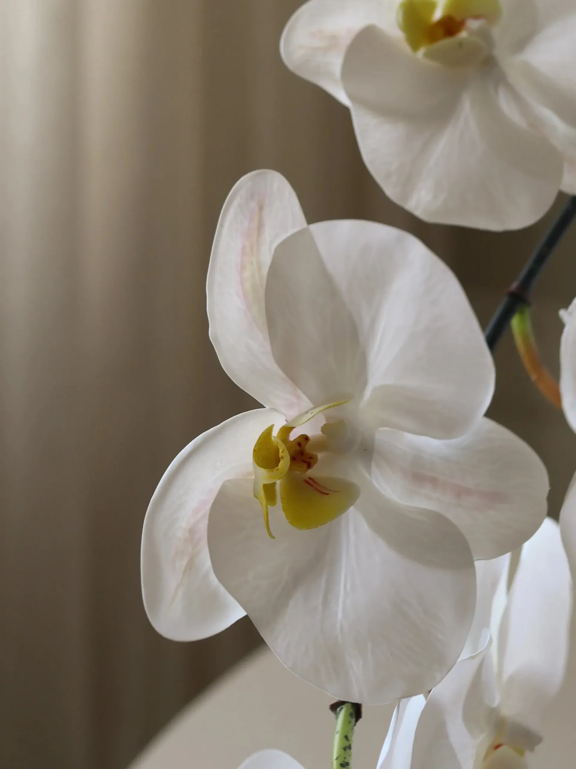 Fiore artificiale Large Orchid
