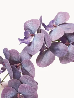 Fiore artificiale Majestic Orchid