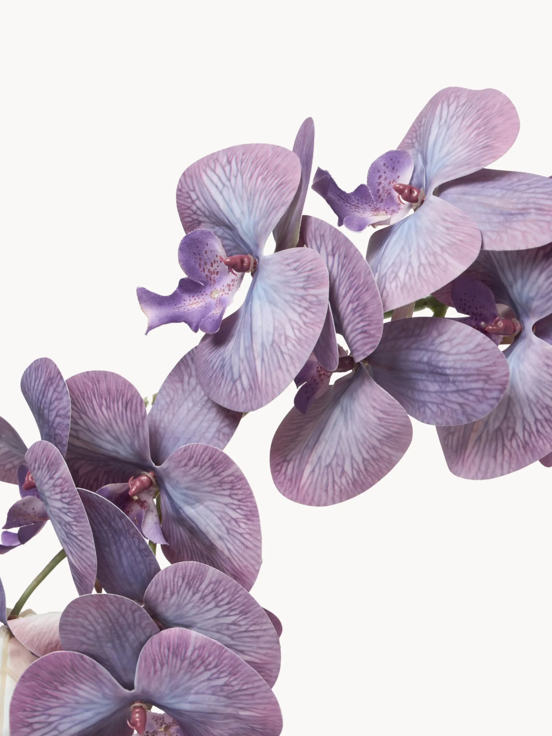 Fiore artificiale Majestic Orchid