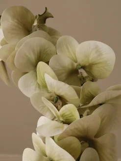 Fiore artificiale Majestic Orchid
