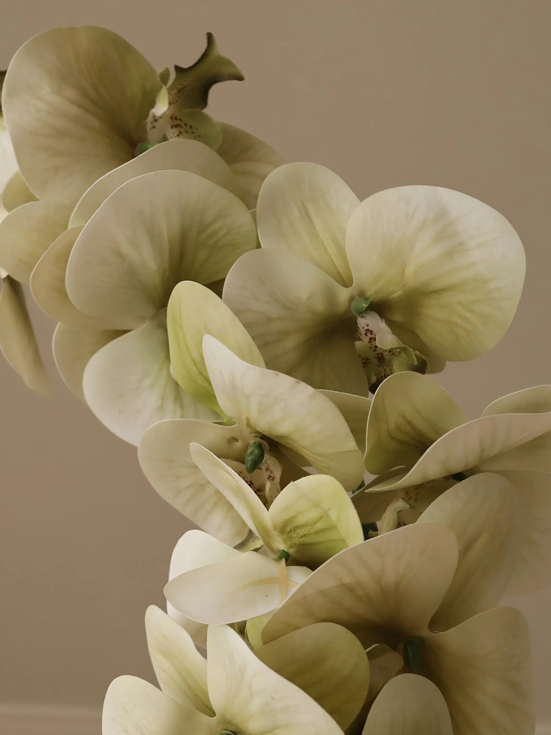 Fiore artificiale Majestic Orchid