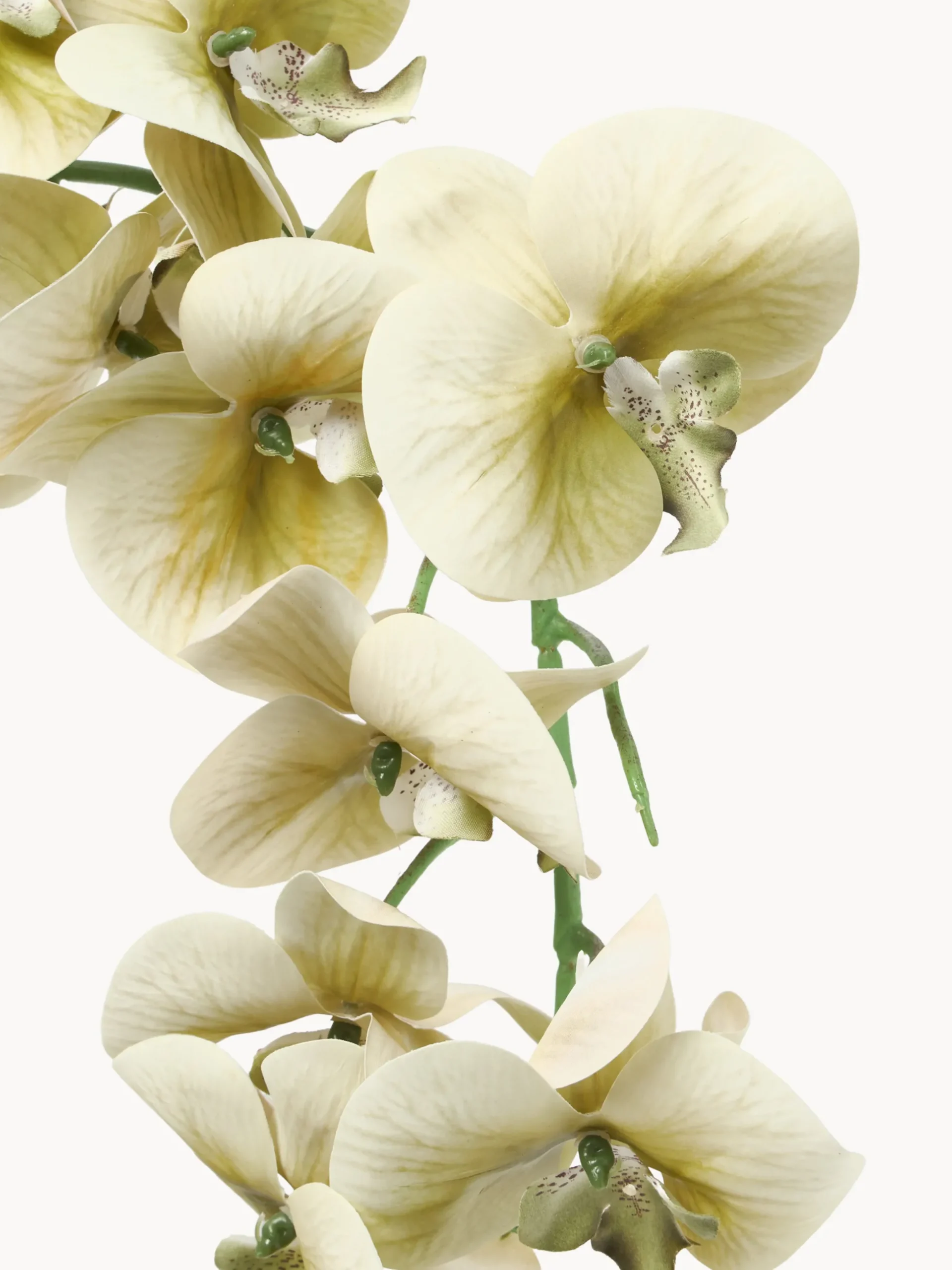 Fiore artificiale Majestic Orchid