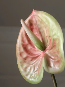 Fiore artificiale Medium Anthurium