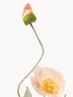 Fiore artificiale Poppy