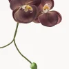 Fiore artificiale Grand Orchid