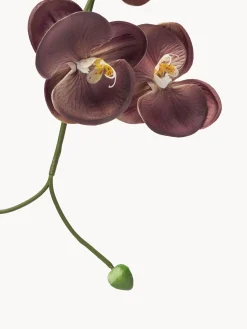 Fiore artificiale Grand Orchid