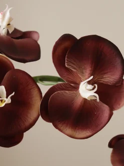 Fiore artificiale Grand Orchid