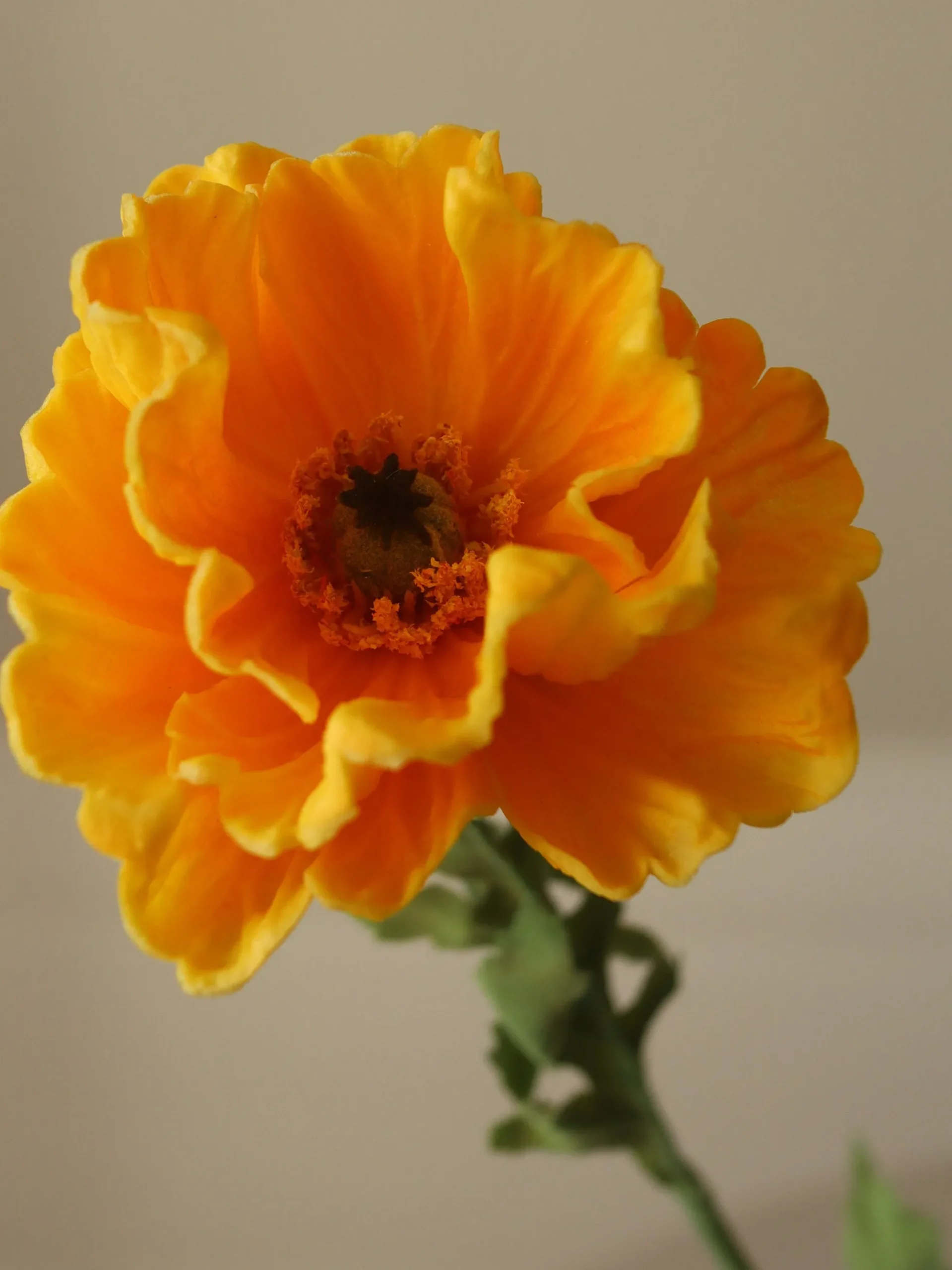 Fiore artificiale Large Poppy