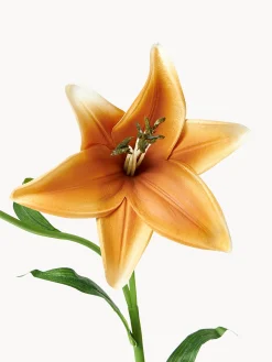 Fiore artificiale Lily