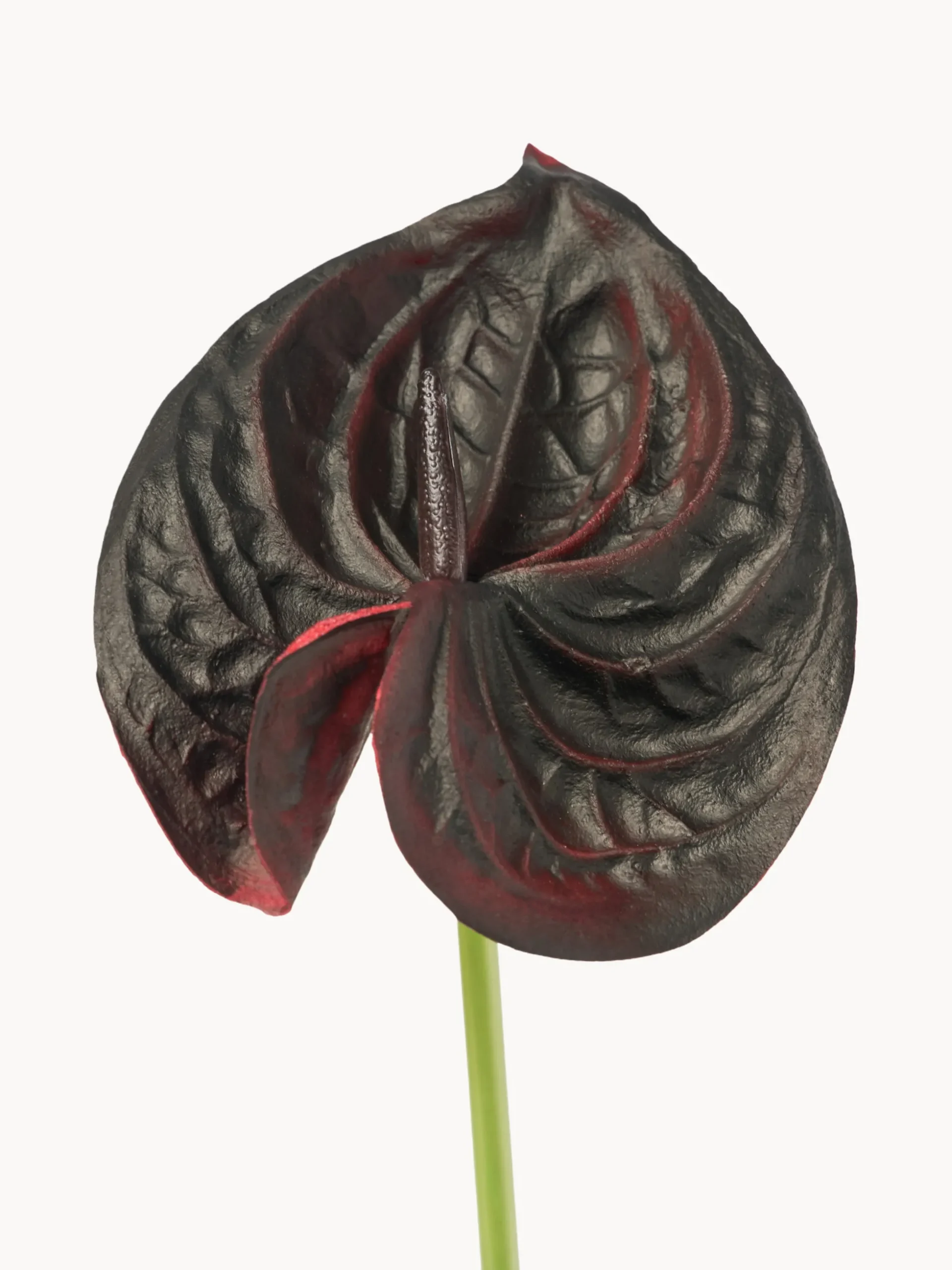 Fiore artificiale Small Anthurium