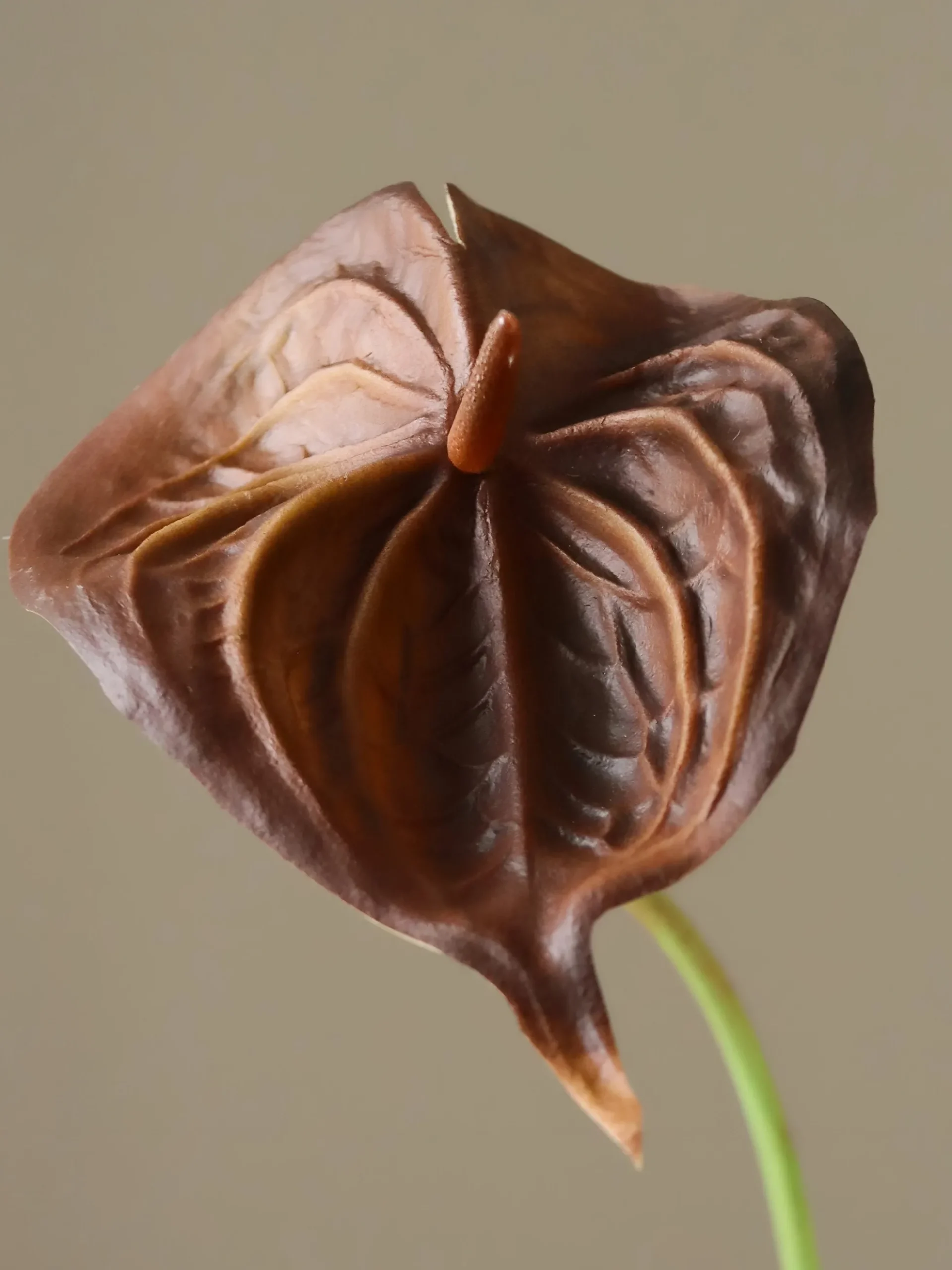 Fiore artificiale Small Anthurium