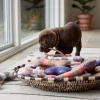 Giocattolo per cani a forma di osso Ashi, varie misure