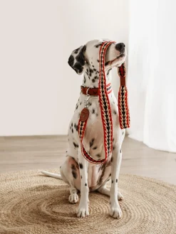 Guinzaglio per cani fatto a mano Peruvian Arrow