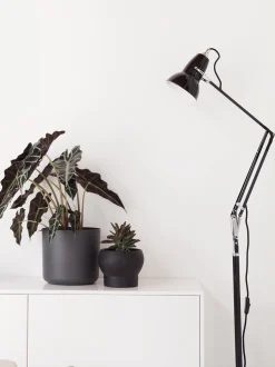 Lampada da lettura a LED Original 1227