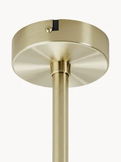 Lampada da soffitto di design Peony