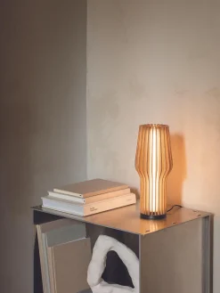 Lampada da tavolo piccola portatile a LED con luce regolabile Radiant