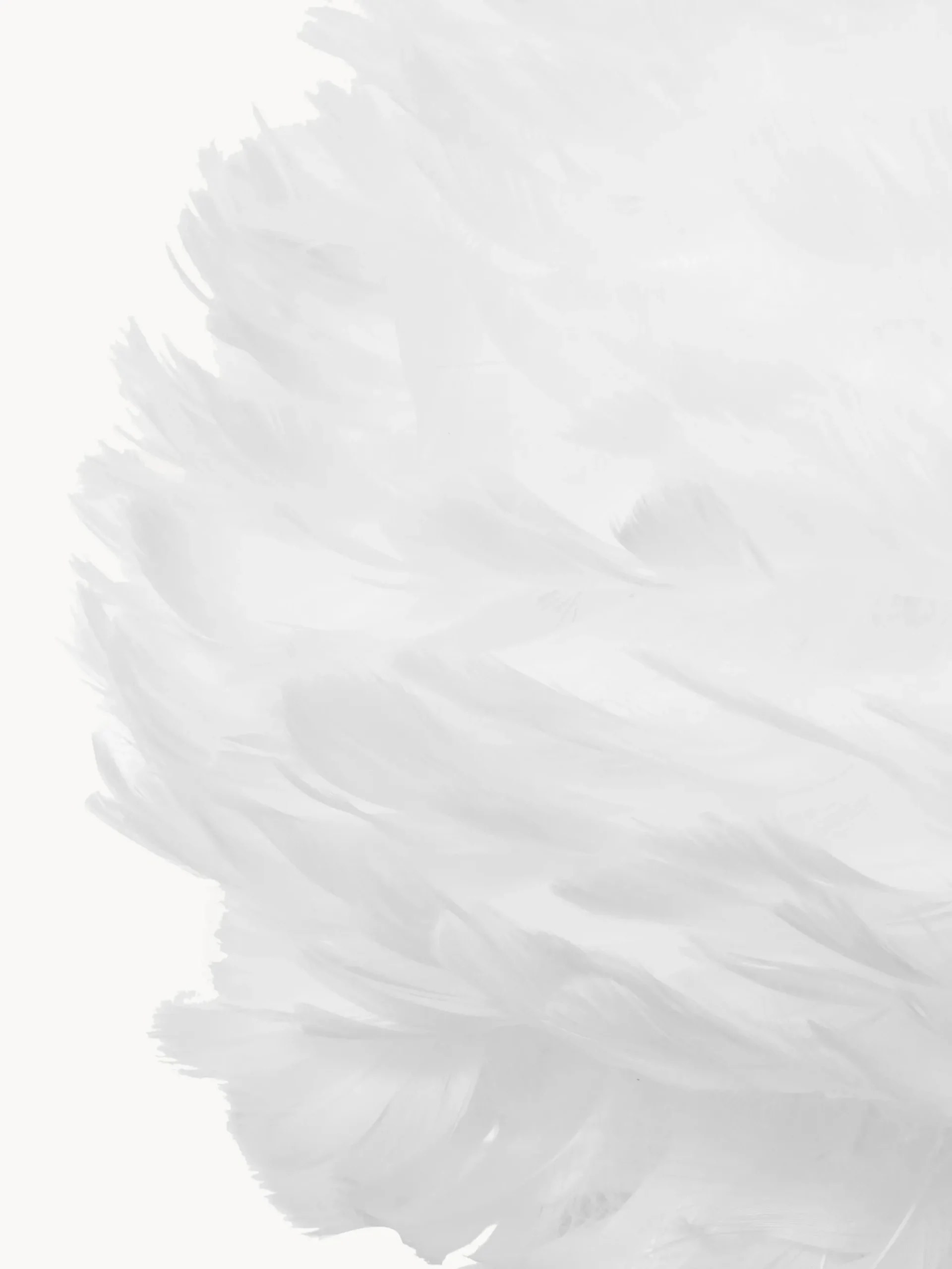 Lampada a sospensione in piume Eos