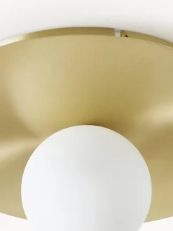 Lampada da parete e soffitto Starling