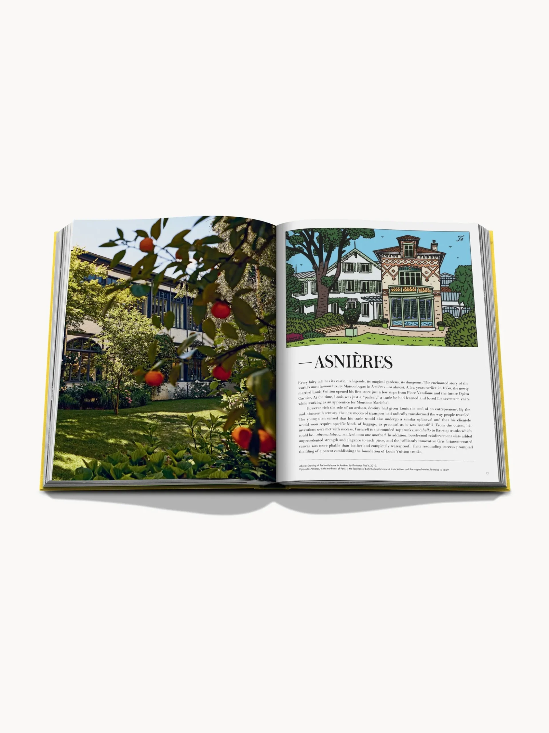 Libro da tavolino From Louis To Vuitton
