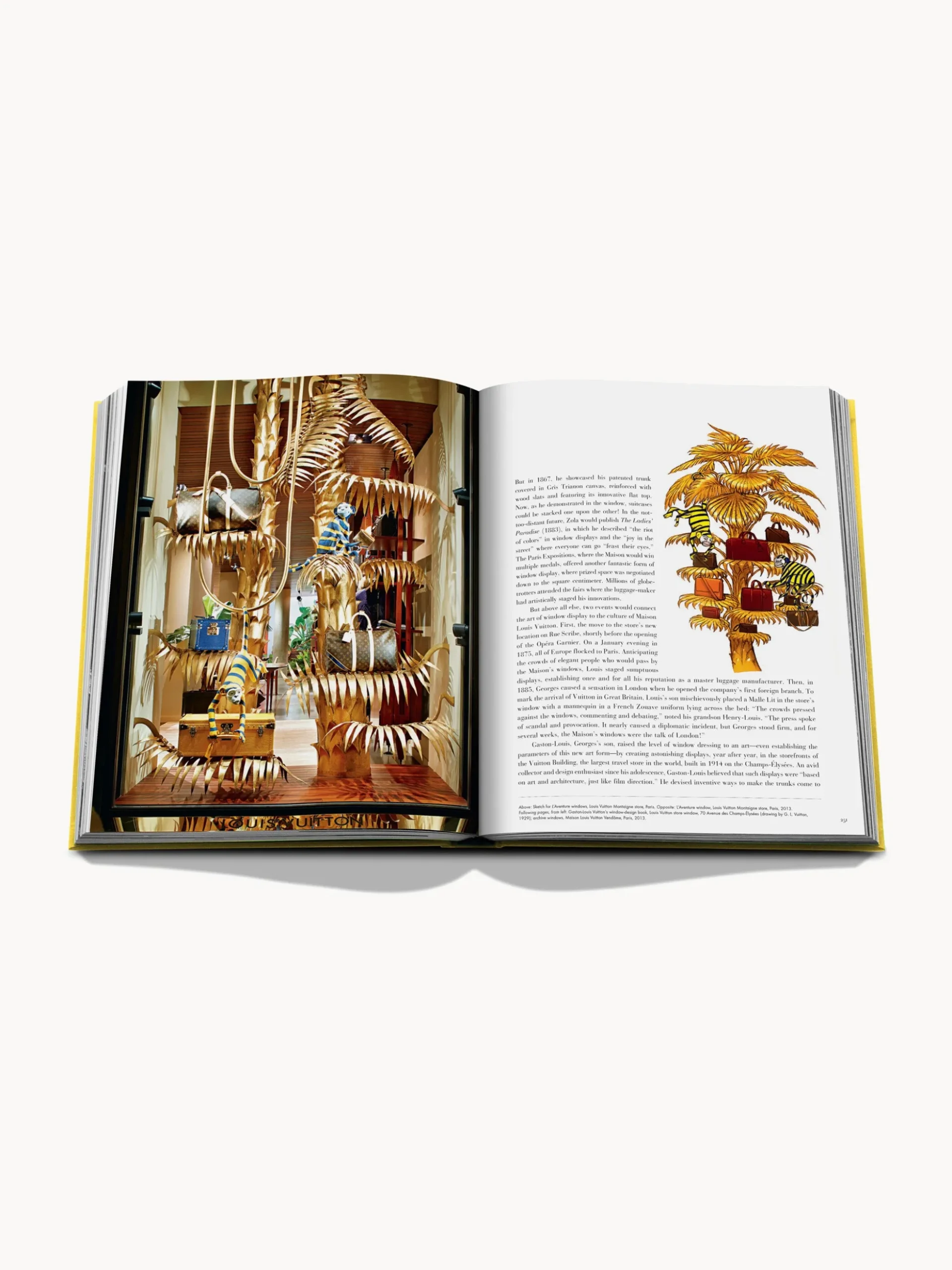 Libro da tavolino From Louis To Vuitton